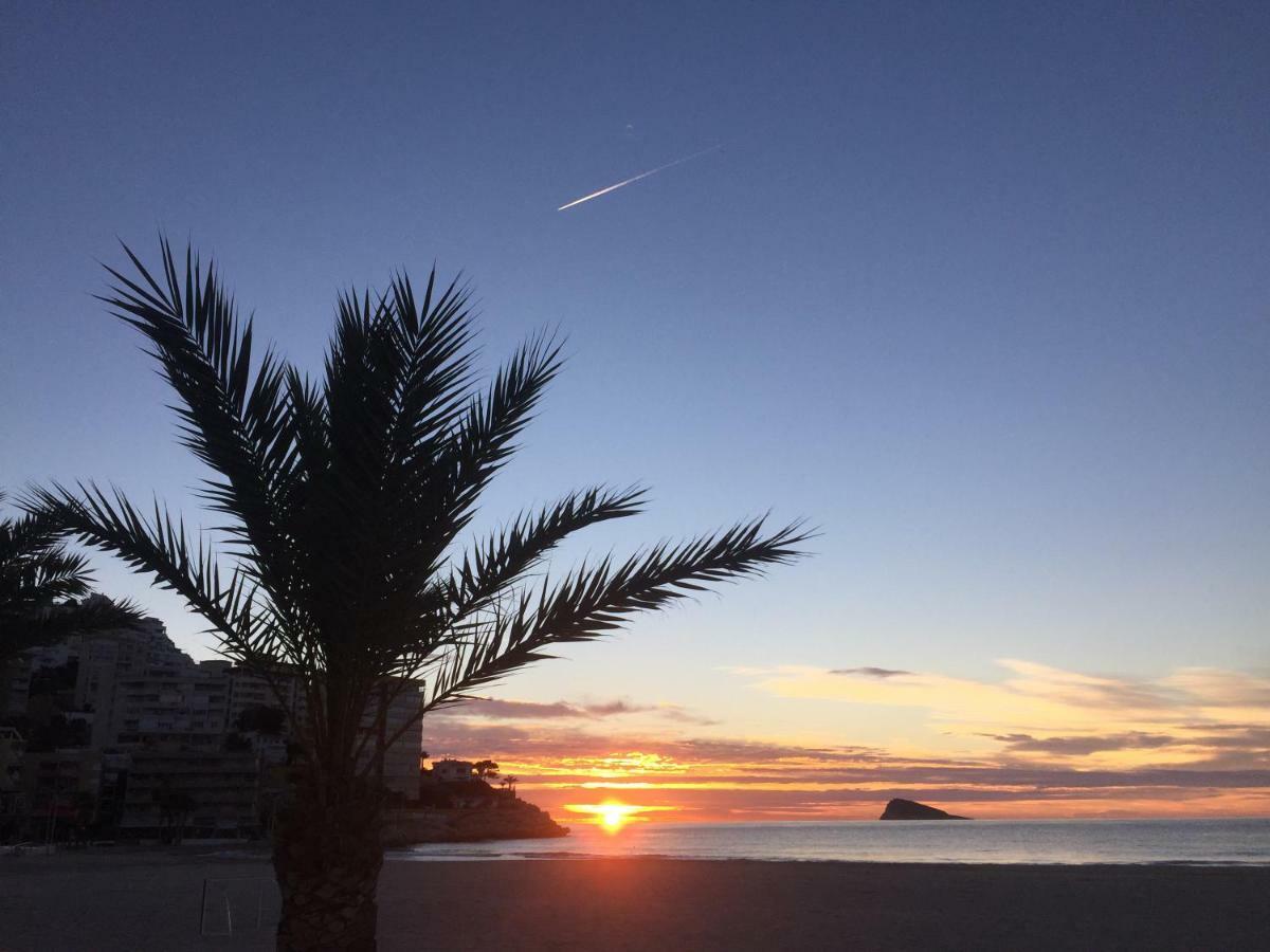 Maravilloso Complejo Residencial Benidorm Exteriör bild